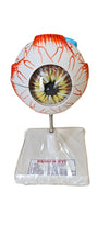 Human Eye Anatomy Model – Educational Eye Structure Model for Biology & Medical Learning