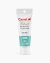 Artist Acrylic Colour Sr1 Aqua Green 815009 40Ml Tube Camlin