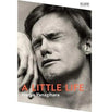 A Little Life by Hanya Yanagihara – Internationally Acclaimed Literary Fiction Novel