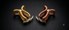 EdumartPlus Minimalist Geometric Hair Claw Clip Combo for Women & Girls (Pack of 2) – Strong Hold Matte Mustard Yellow & Terracotta Peach French Design Hair Jaw Clips
