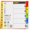 World One Divider-Z 5 Separators A4 – Multi-Section Document Divider File for Office, School & Project Organization