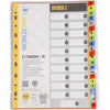 WORLDONE DV121 Premium A4 Alphabetical A-Z Index Dividers – 11-Hole Universal Punch Multi-Color Polypropylene Page Separator Set with Customizable Front Index Sheet (1 Full Pack)