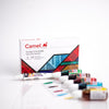 Camel Glass Colours Set – Professional Solvent-Based Transparent Paint Kit with 5 Intense Intermixable Shades (20ml Large Individual Bottles)