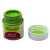 Fevicryl Premium Acrylic Colour (Light Green - Shade 12, 15ml) – Vibrant Lime Green, Multi-Surface, Quick-Drying Hobby Paint for Canvas, Wood, Terracotta, and Fabric Crafts