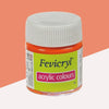 Fevicryl Premium Acrylic Colour (Orange - Shade 17, 15ml) – Radiant High-Vibrancy Hue, High-Opacity Multi-Surface Hobby Paint for Canvas, Wood, Terracotta, and Fabric Crafts