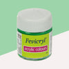Fevicryl Premium Acrylic Colour (Light Green - Shade 12, 15ml) – Vibrant Lime and Meadow Tone, High-Opacity Multi-Surface Hobby Paint for Canvas, Wood, Terracotta, and Fabric Crafts