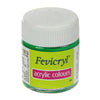 Fevicryl Premium Acrylic Colour (Light Green - Shade 12, 15ml) – Vibrant Lime and Meadow Tone, High-Opacity Multi-Surface Hobby Paint for Canvas, Wood, Terracotta, and Fabric Crafts