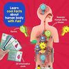 Smartivity Human Body Toy for Kids 6-12 Years|Body Organs & Functions