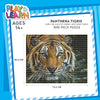 Funskool Panthera Tigris 1000 Pieces Jigsaw Puzzle – Wildlife Educational Puzzle for Teens & Adults (14+ Years)