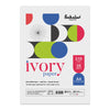 Scholar Loose Sheets 210 GSM – Extra White Premium Artist Paper for Drawing, Painting & Mixed Media
